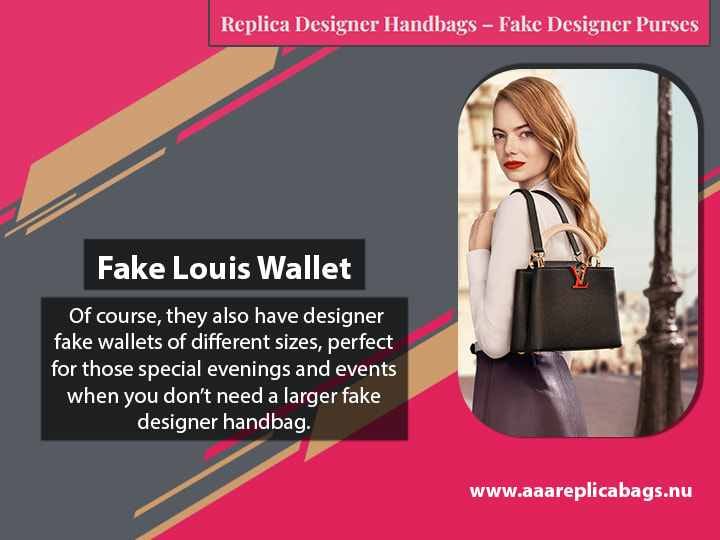 Fake Louis Wallet
